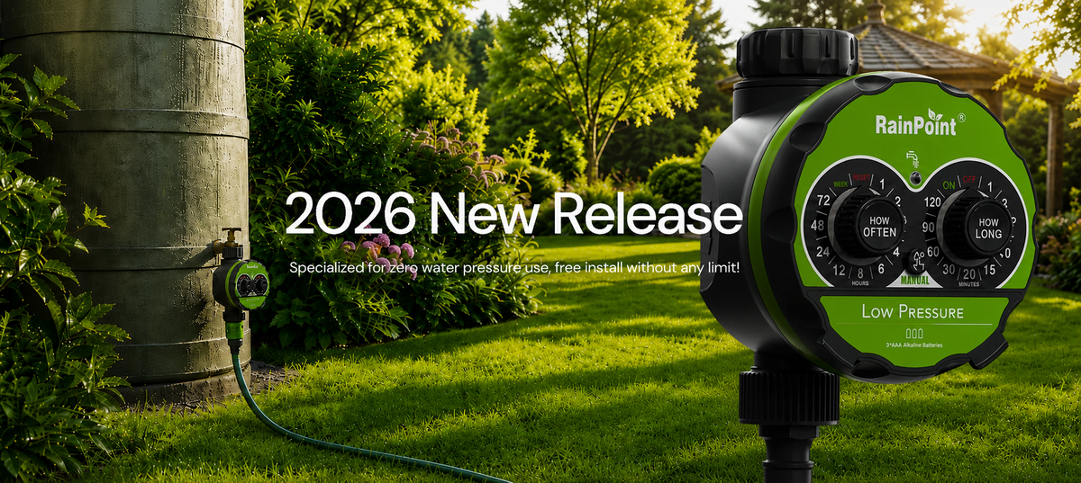 2026 New Arrivals