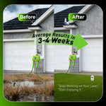 RainPoint automatic watering system connected with smart sensors and garden irrigation equipment